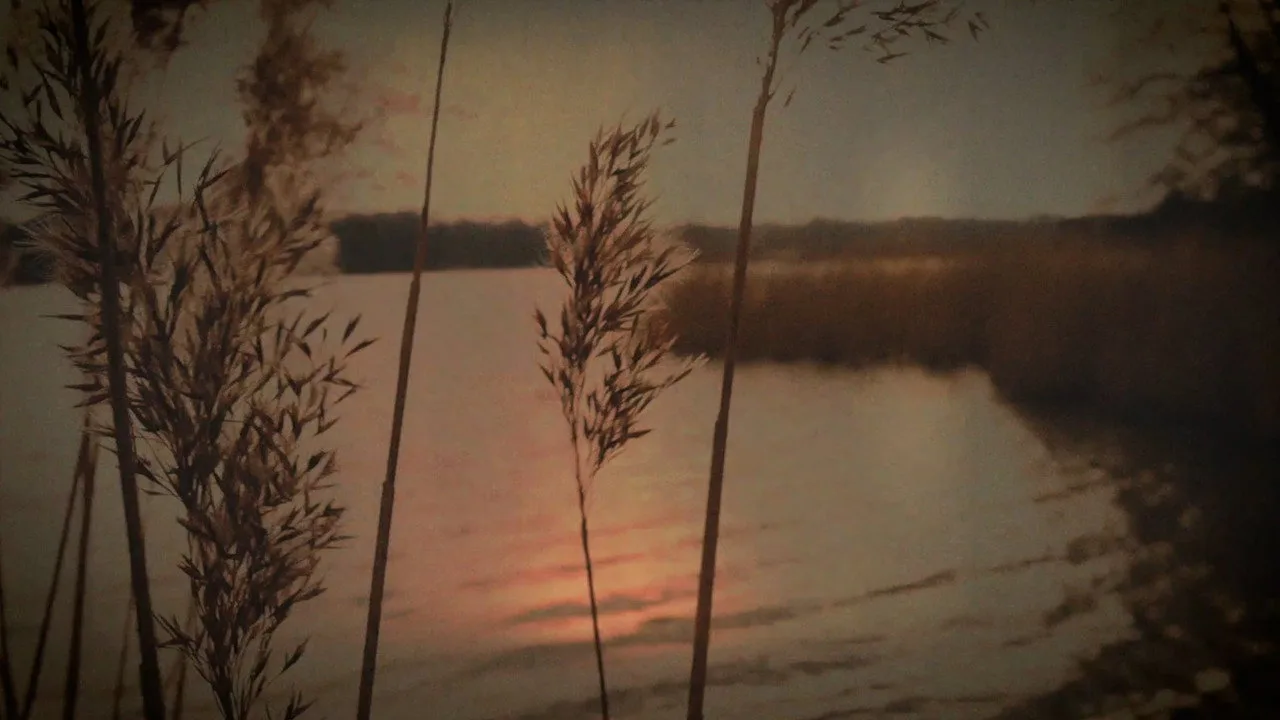 Scene from STATIC