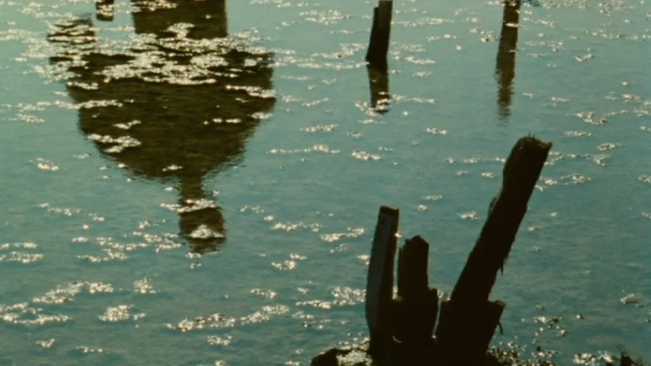 Scene from Junkopia