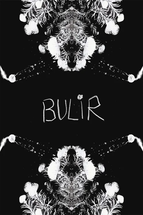 Poster for BULIR