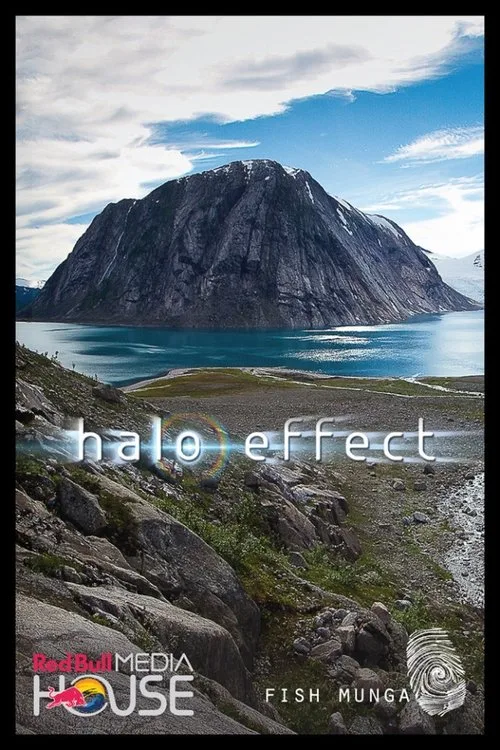 Poster for Halo Effect