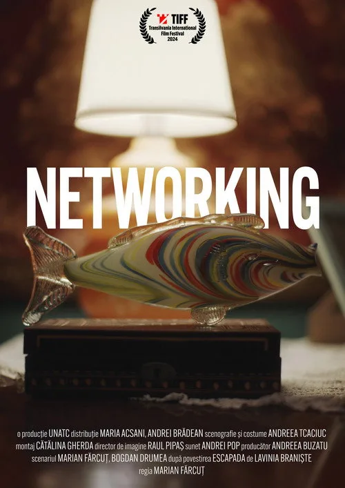 Poster for Networking