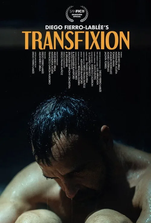 Pôster de Transfixion