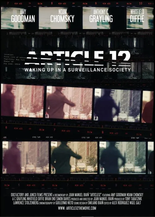 Póster de Article 12