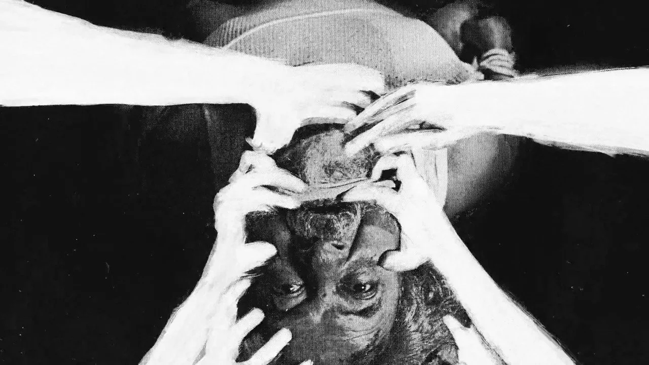 Scene from NOIZE