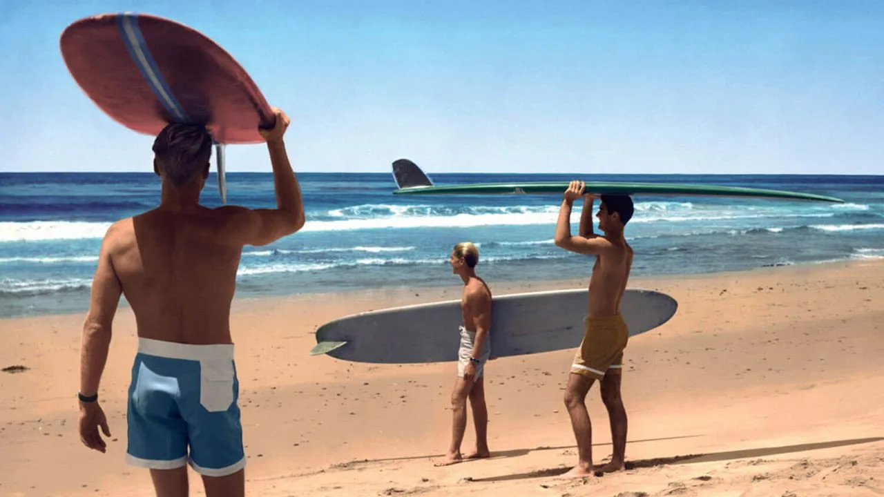 Escena de The Endless Summer