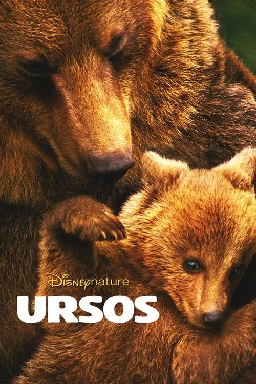 Bears poster