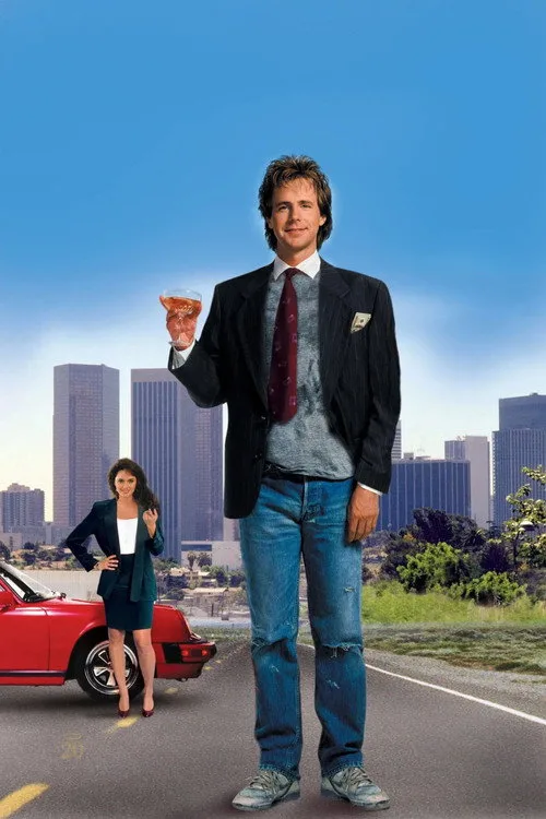 Opportunity Knocks poster