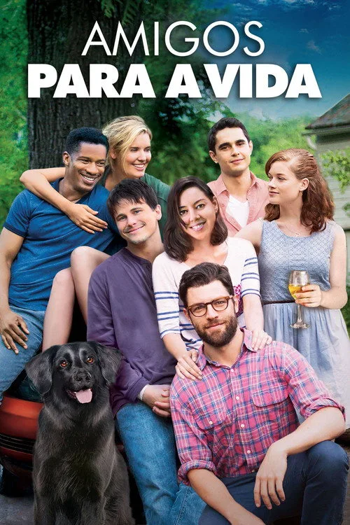 Póster de Amigos Para a Vida