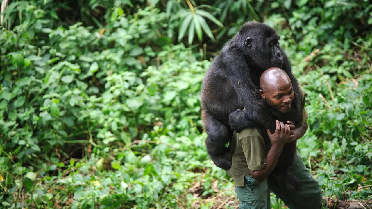 Scene from Virunga