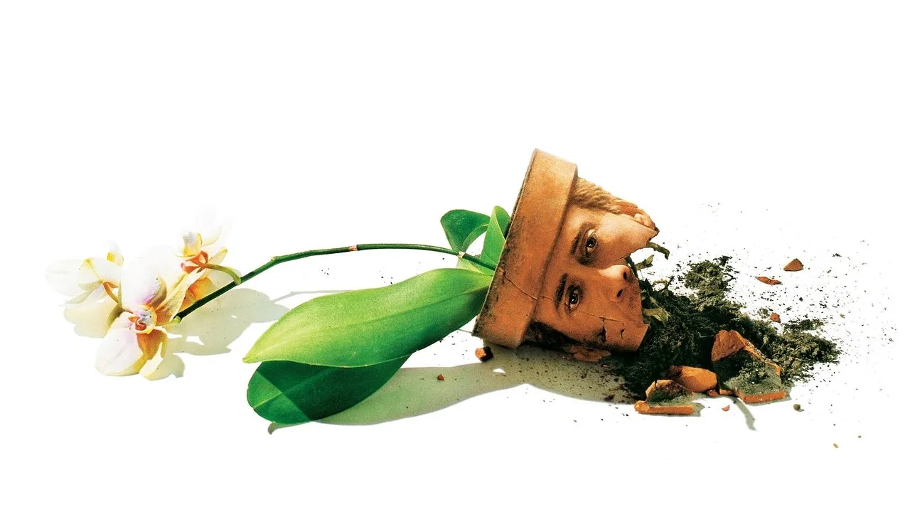 Scene from Adaptation.
