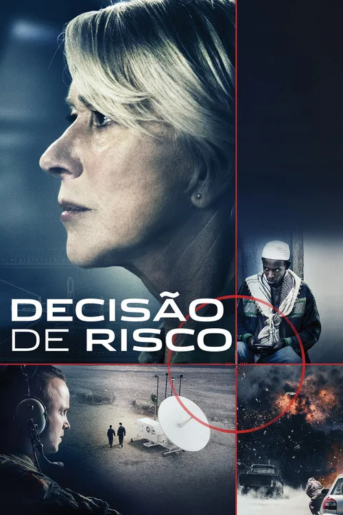 Pôster de Decisão de Risco
