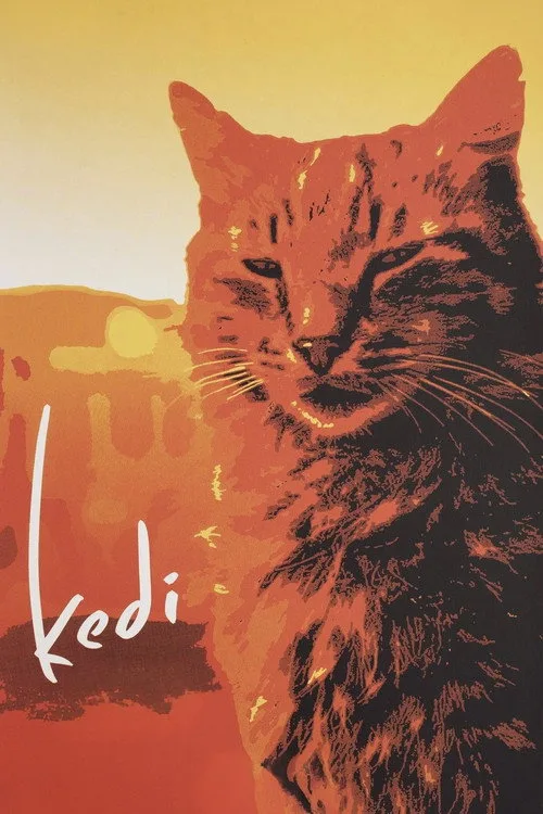 Poster for Kedi