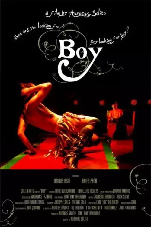Pôster de Boy