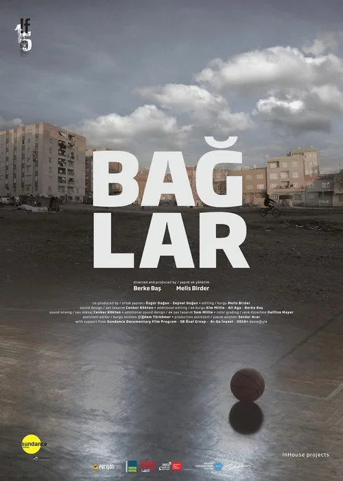 Poster for Baglar