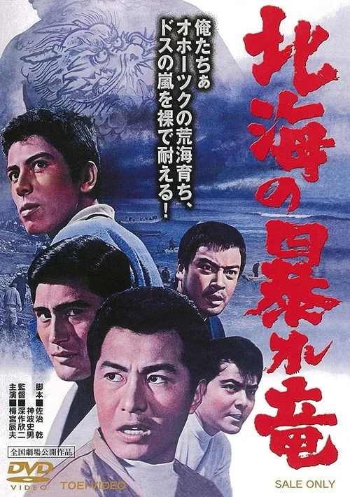 Poster for Rampaging Dragon of the North