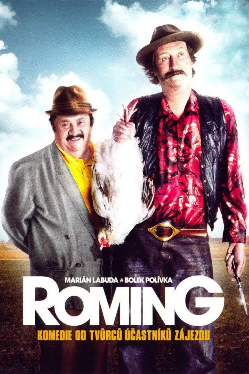 Pôster de ROMing