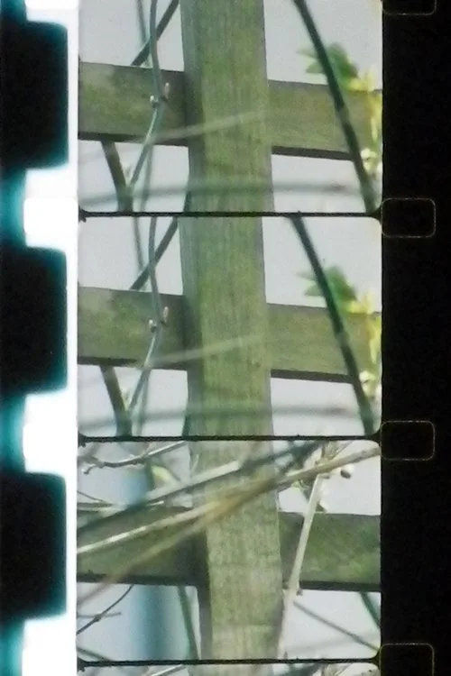 Pôster de Matrix