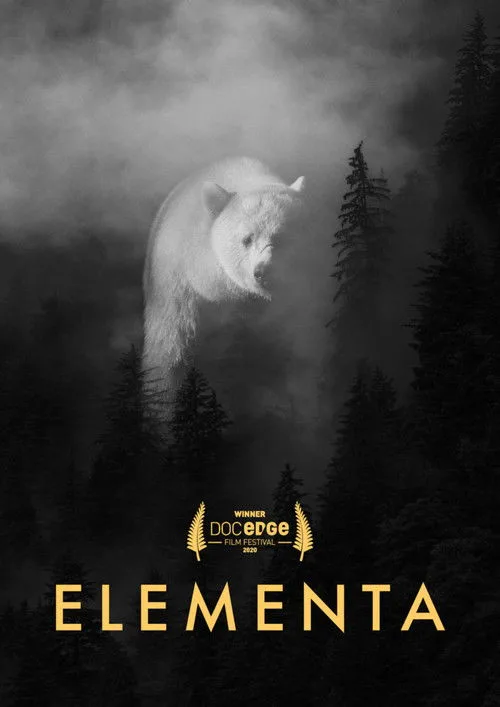 Pôster de Elementa