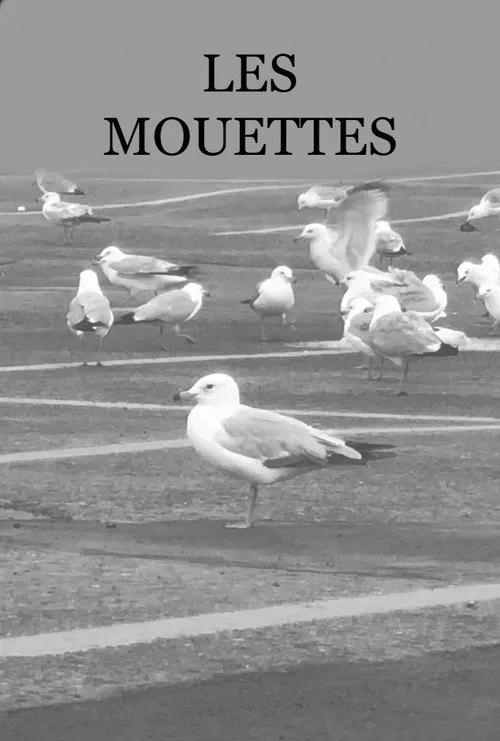 Pôster de Les Mouettes