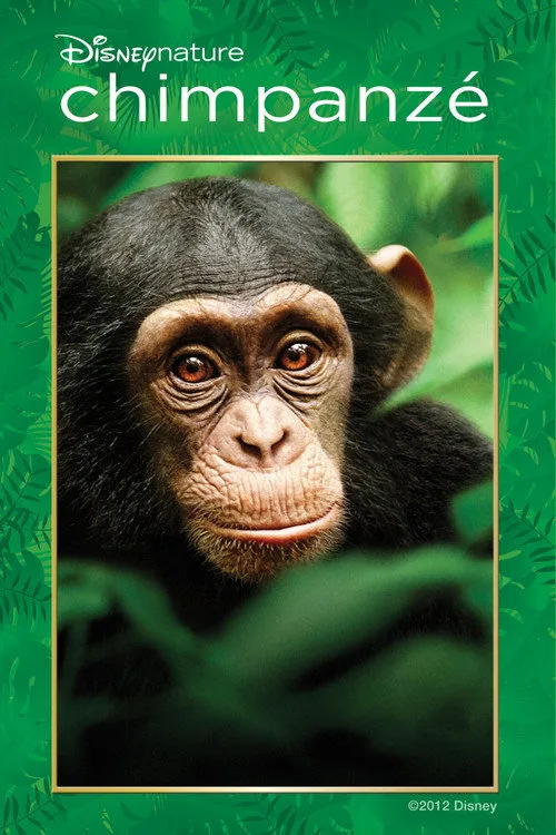 Cartel de Chimpancés