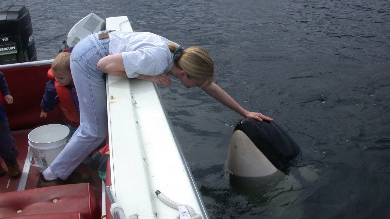 Escena de The Whale