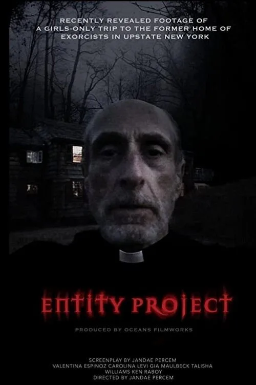 Poster for Entity Project