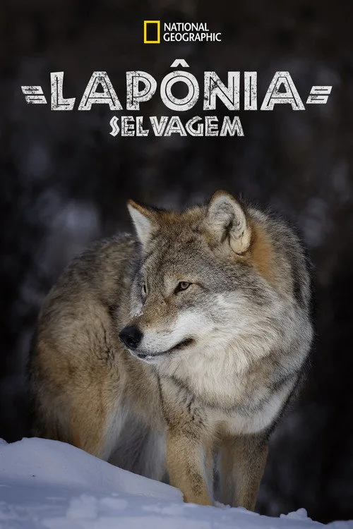 Poster for Wild Lapland