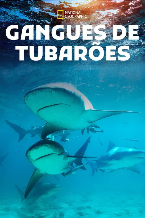 Poster for Shark Gangs
