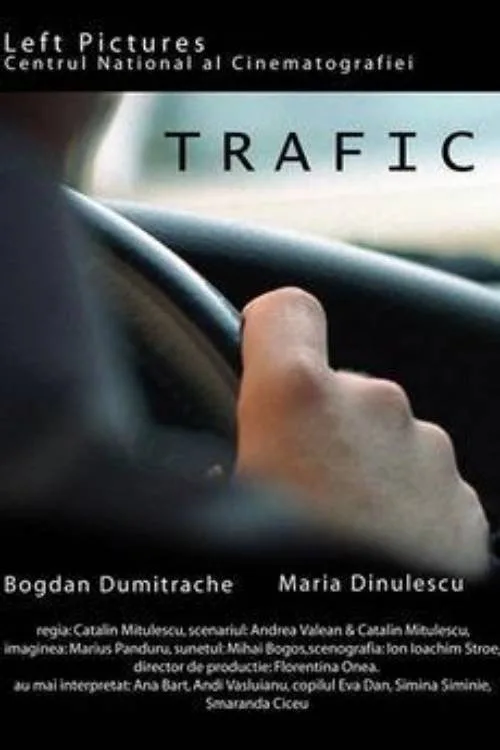 Pôster de Trafic