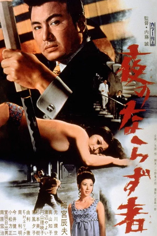 Poster for Rogue of the Night