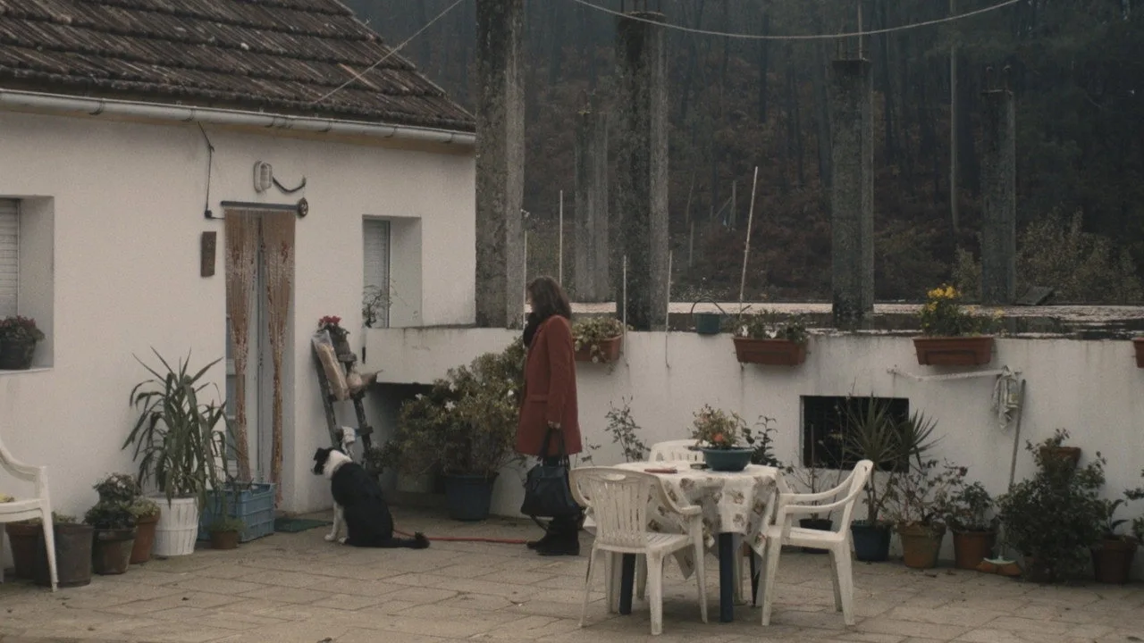 Scene from Fog