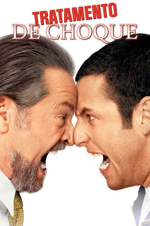 Poster for Anger Management