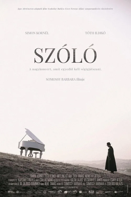 Poster for Szóló