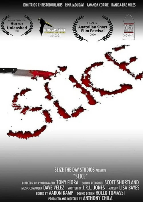 Pôster de Slice