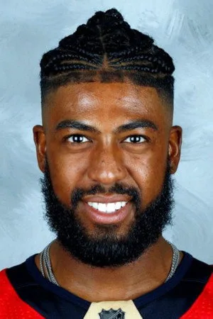 Foto de Anthony Duclair