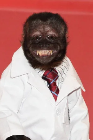 Photo of Crystal the Monkey