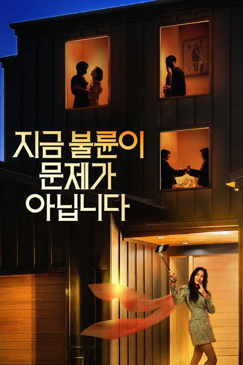 The Affair Was Just the Beginning poster